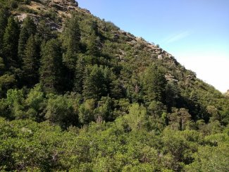 Baer Canyon Trailhead
