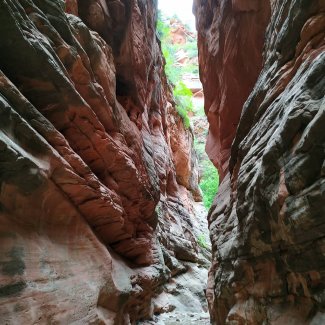 Spring Creek Canyon Trailhead