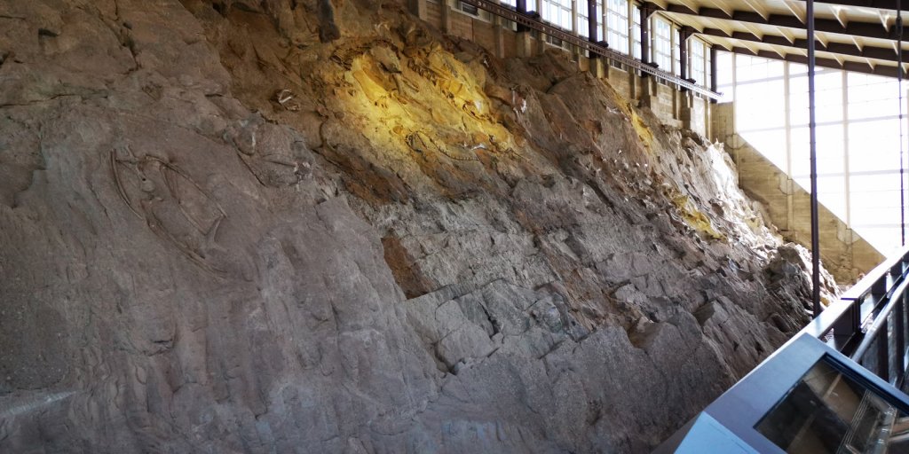 Quarry Exhibit Hall Wall of Bones