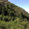Baer Canyon Trailhead