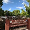 Paul Ream Wilderness Park